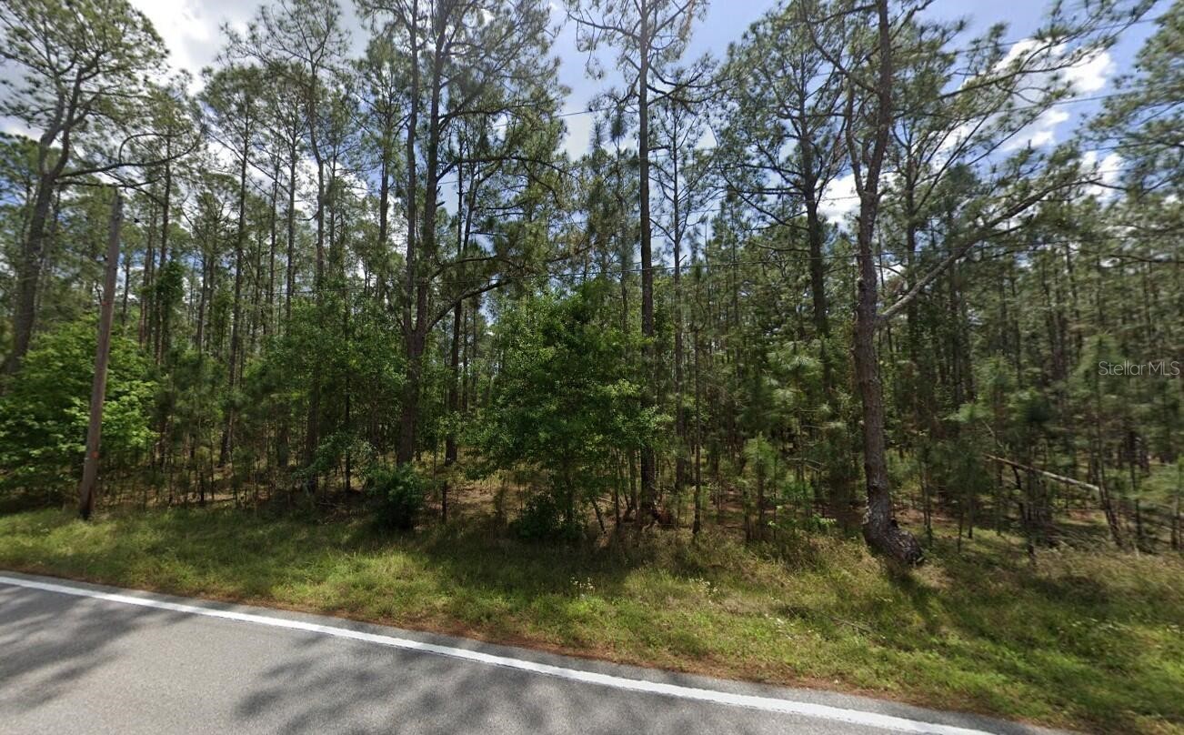 POYNER OAKS ROAD N