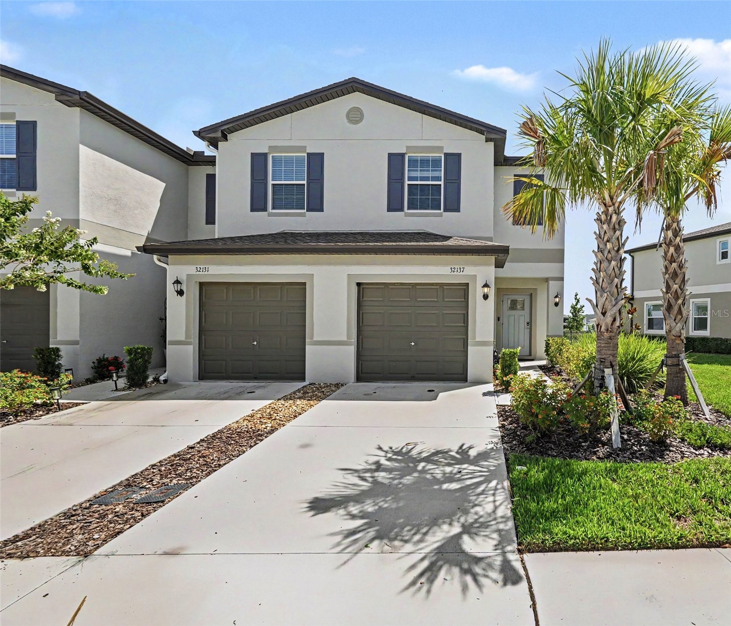 32137 POWDERPUFF MIMOSA DRIVE