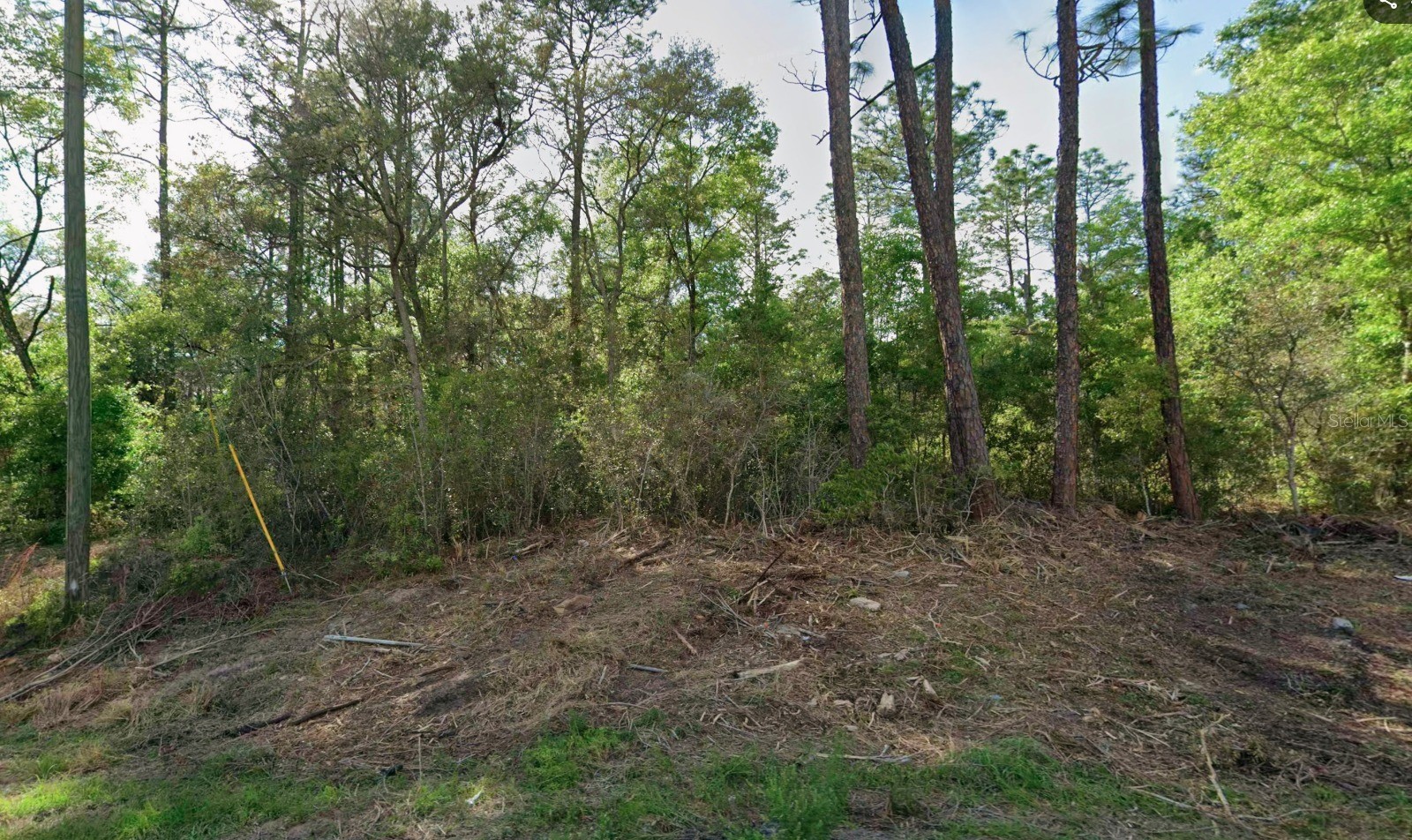 10814 N HATARI DRIVE