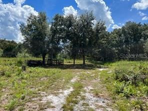 LAUREL OAK AVENUE