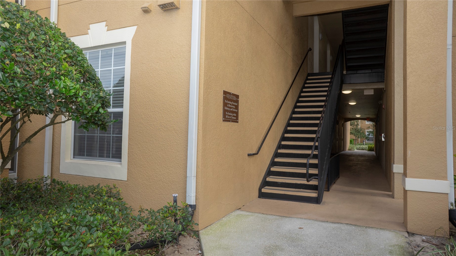 6466 CAVA ALTA DRIVE 101