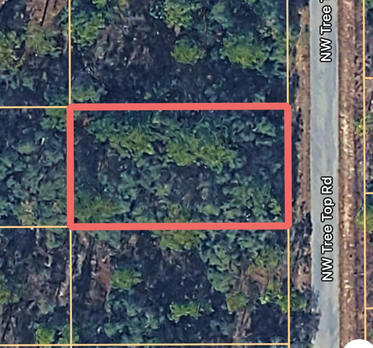 0000 NW TREETOP ROAD 007