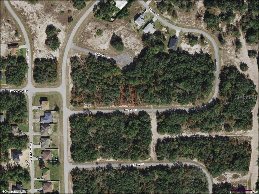 442 NAPLES COURT