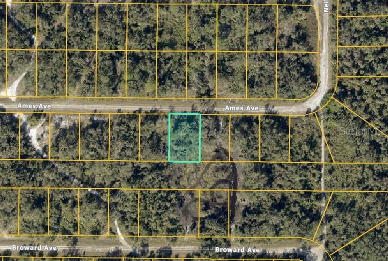 Lot #45 AMES AVENUE