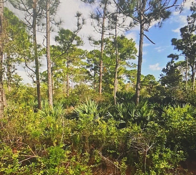 5550 TREE TOP TRAIL