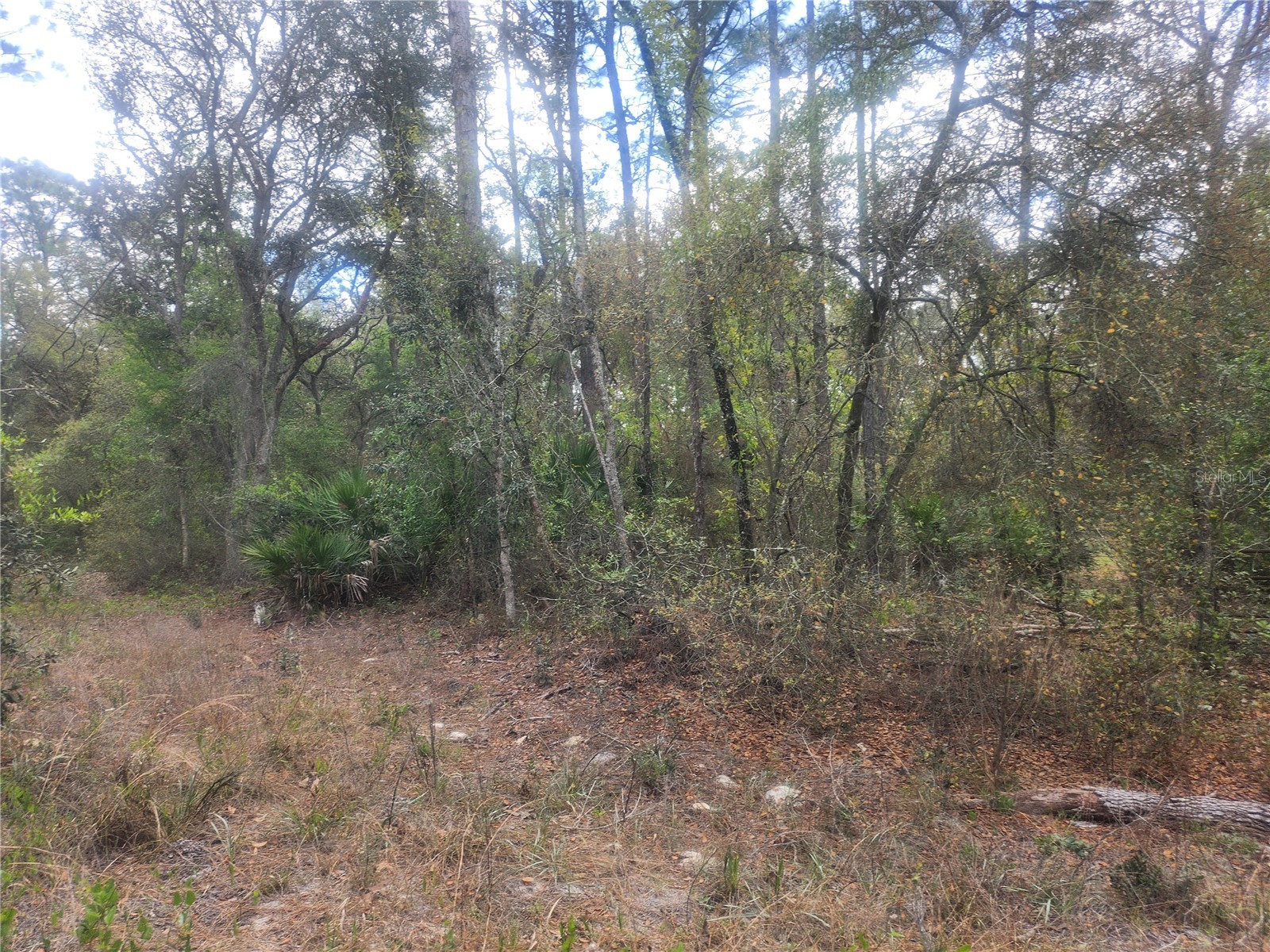 7446 SW 151ST PLACE