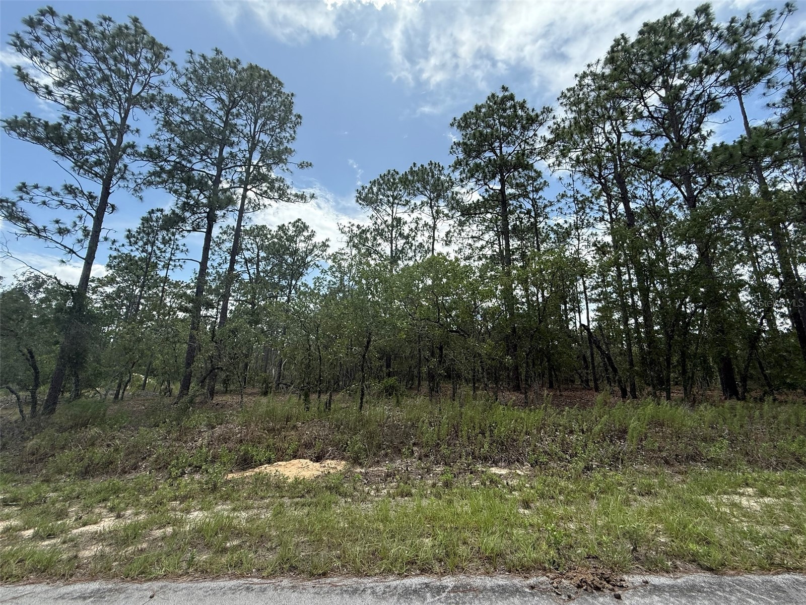 TBD TREE TOP ROAD