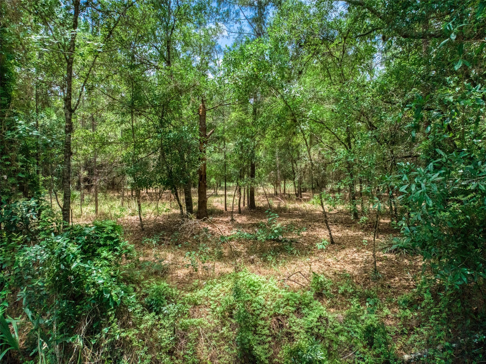 5101 WHIPPOORWILL ROAD