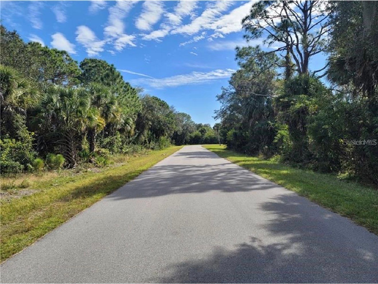 523 MCDILL DRIVE
