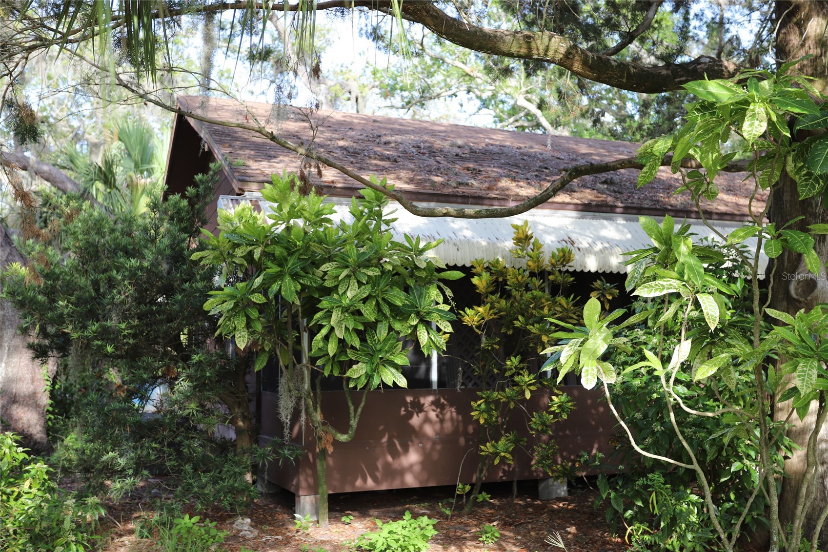 260 ORANGE STREET