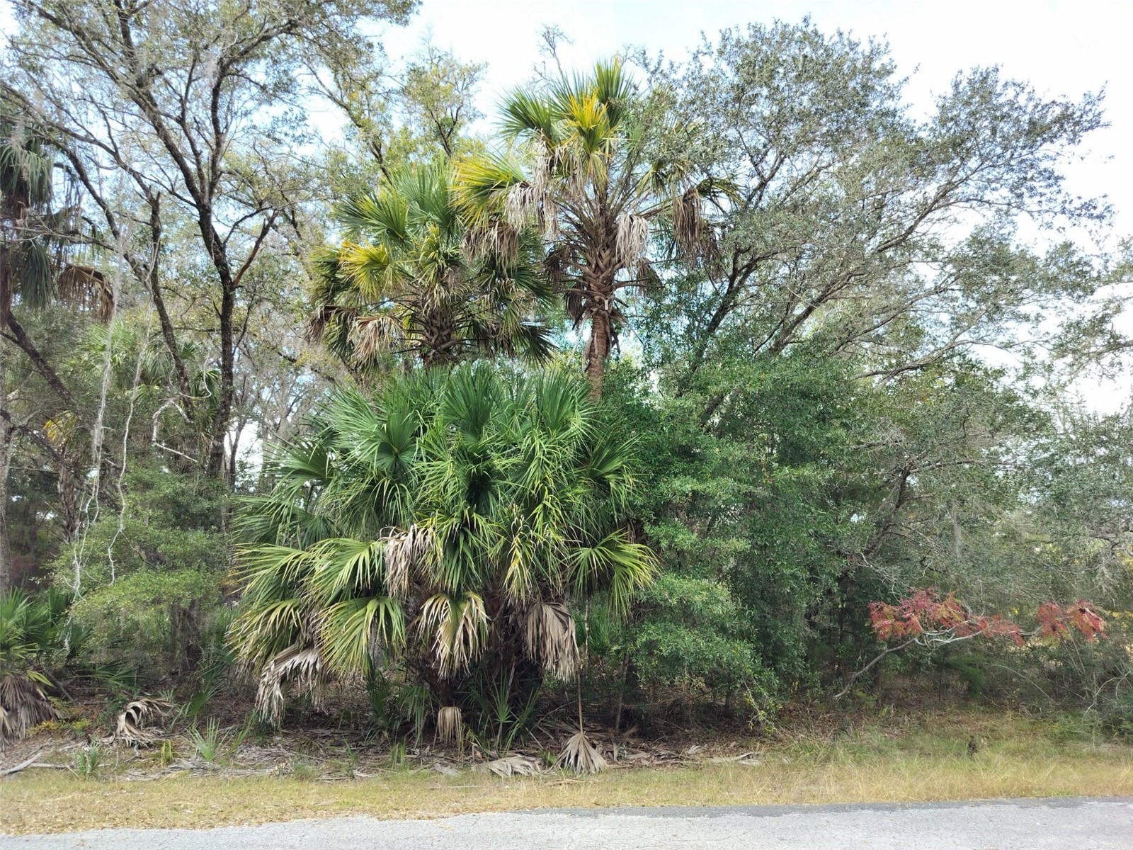 9999 N SNOWBALL POINT