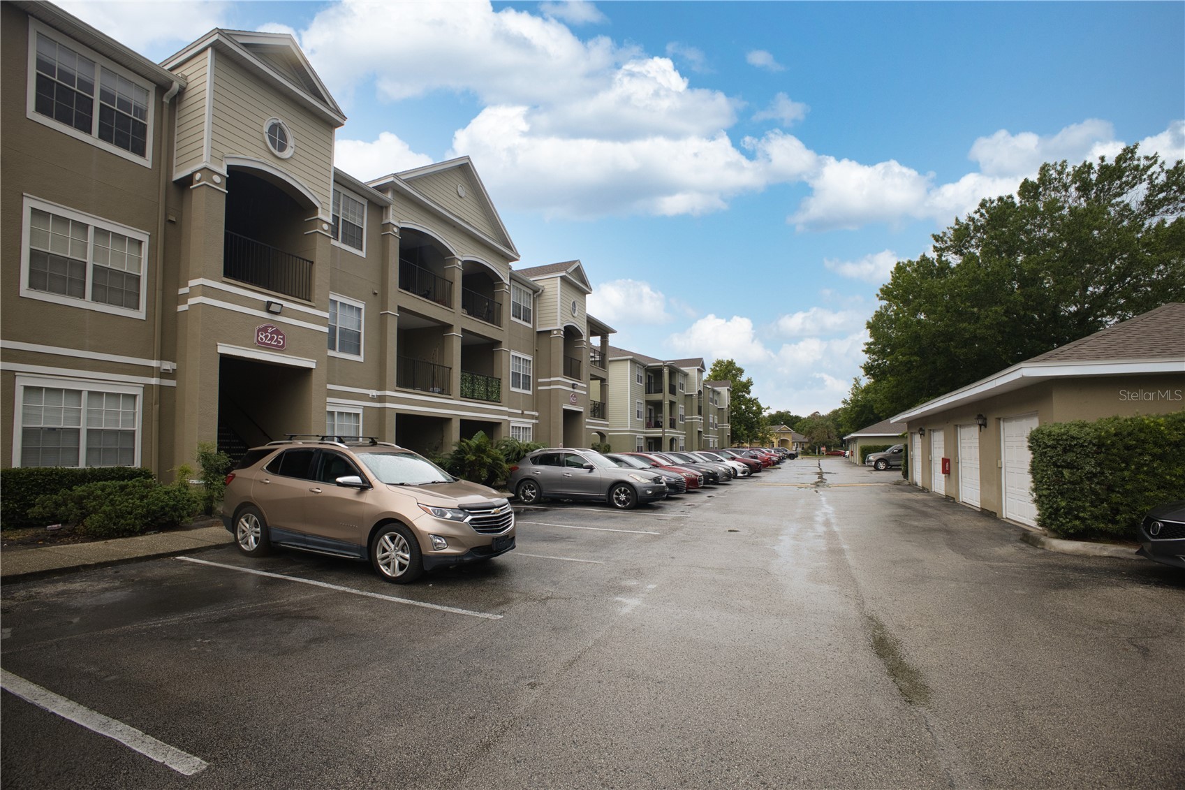 8225 CLAIRE ANN DR 203