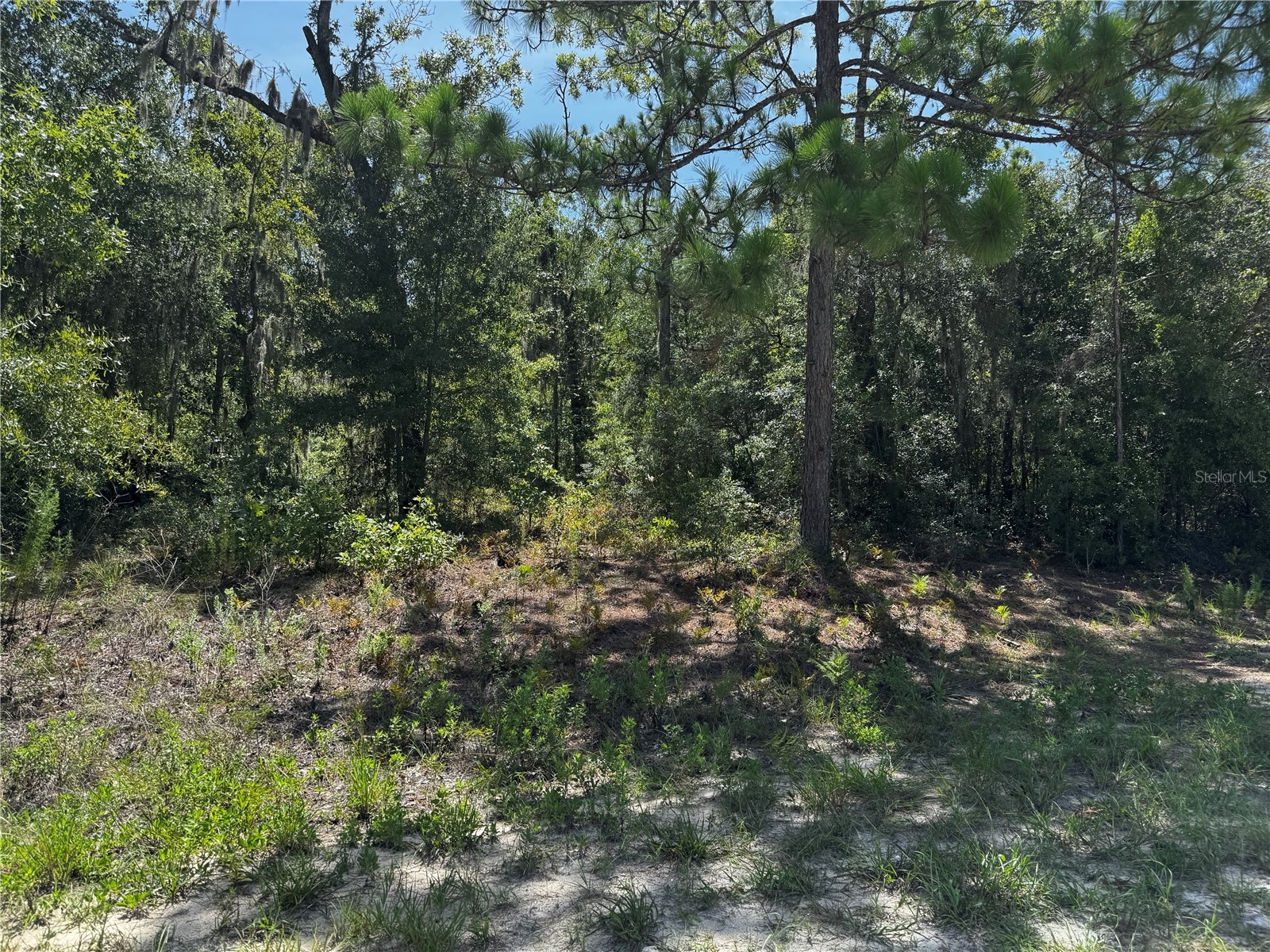 CRIDER ROAD 3