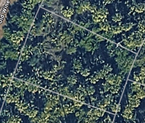 LOT 10 CRIMSONGLORY ROAD