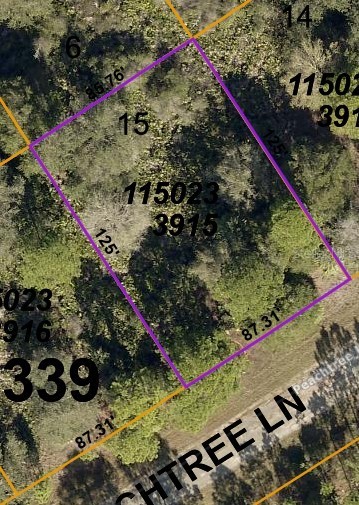 LOT 15 PEACHTREE LANE