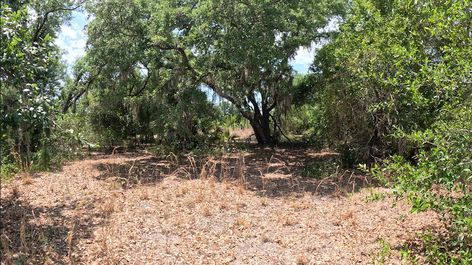 HAMER TERRACE Lot 25
