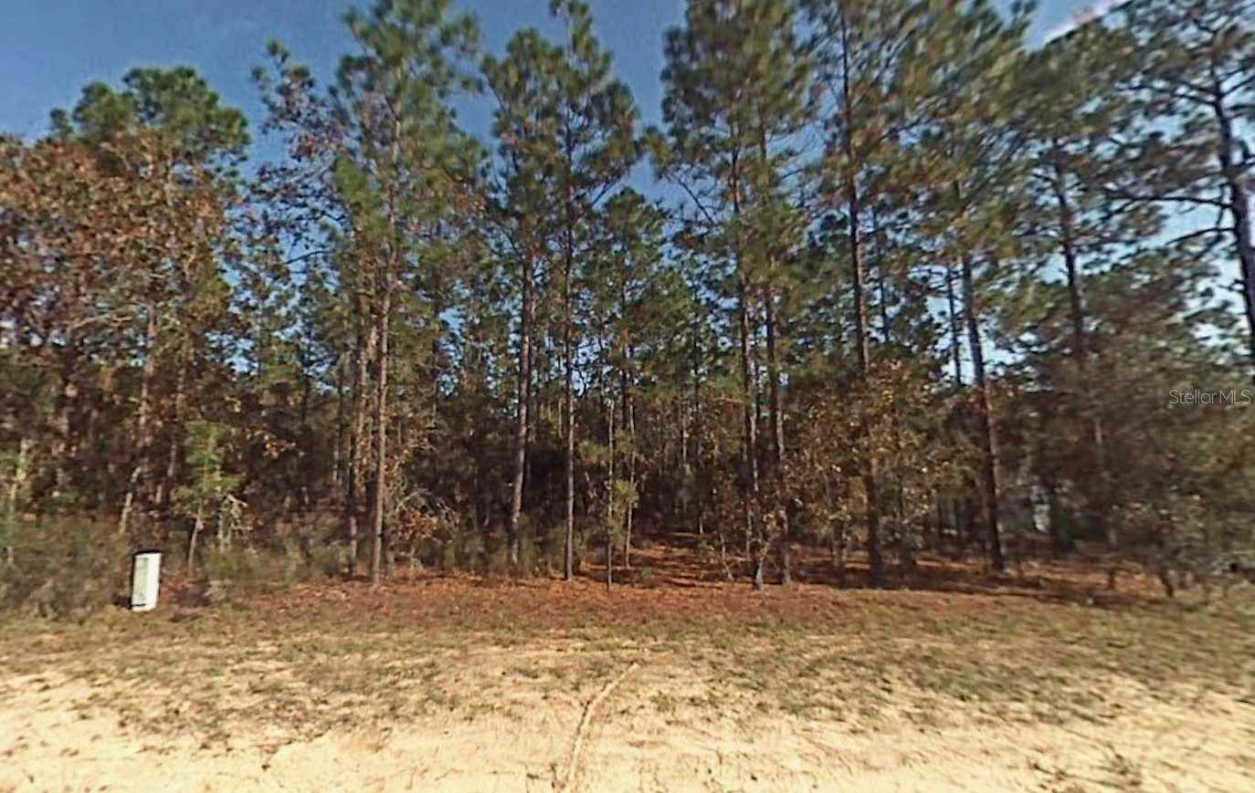 Lot 5 SW 166TH COURT ROAD