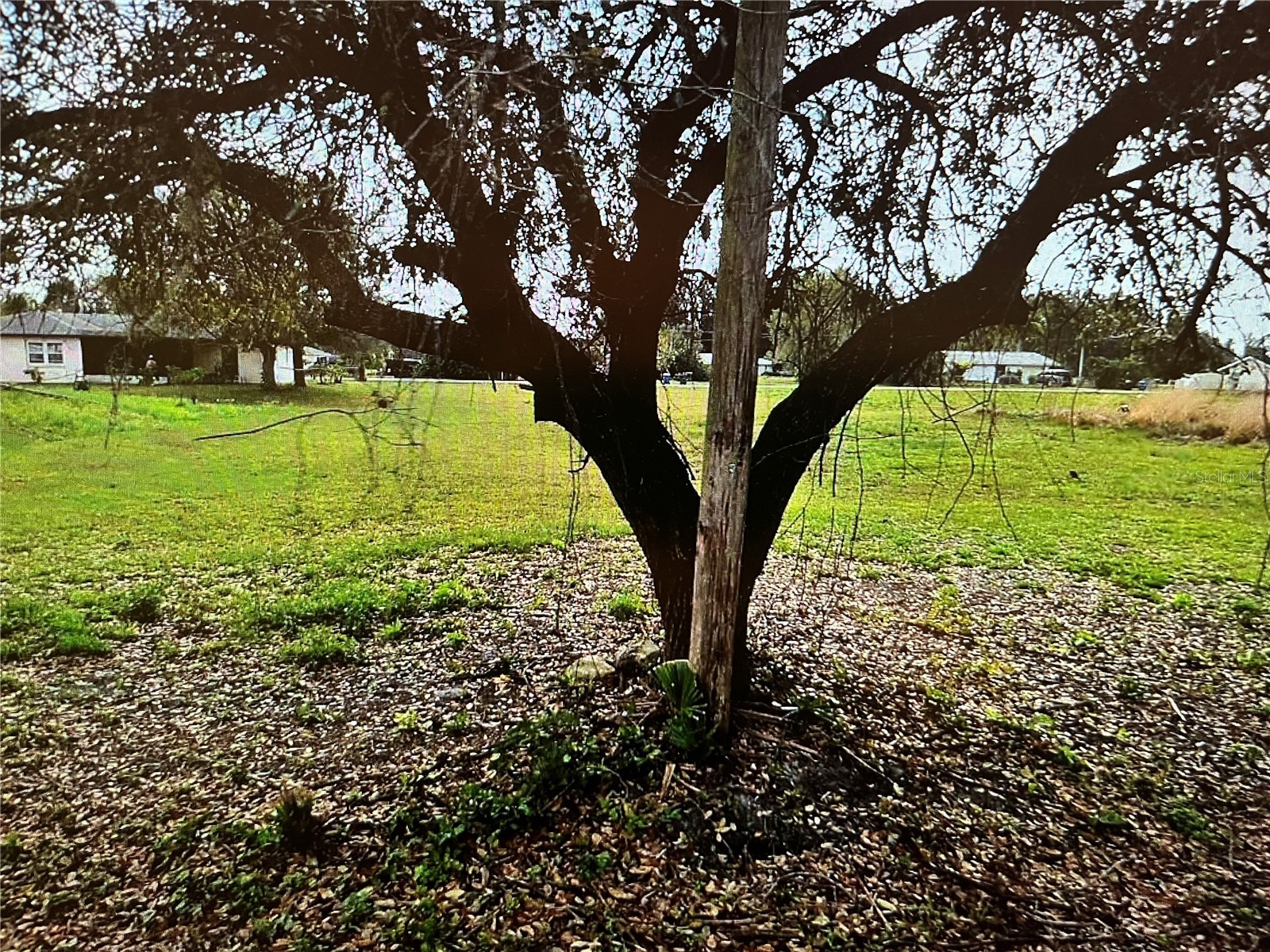 LOT 62&63 HERNANDO ROAD