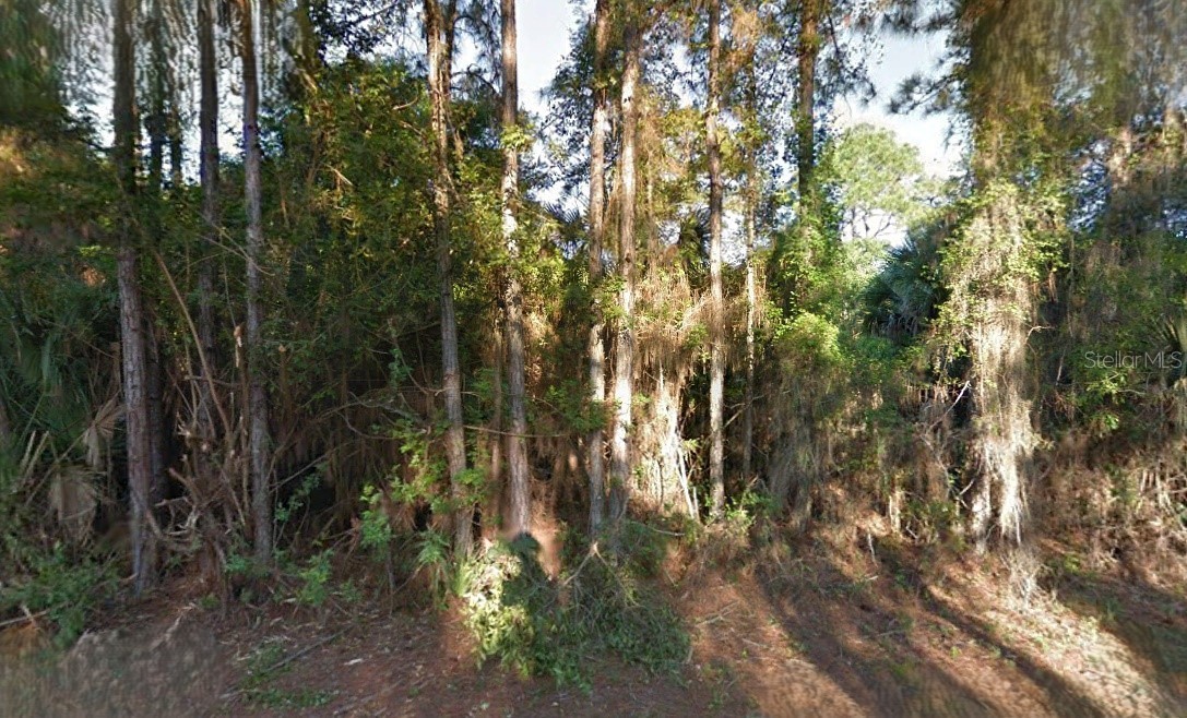 LUTZ ROAD