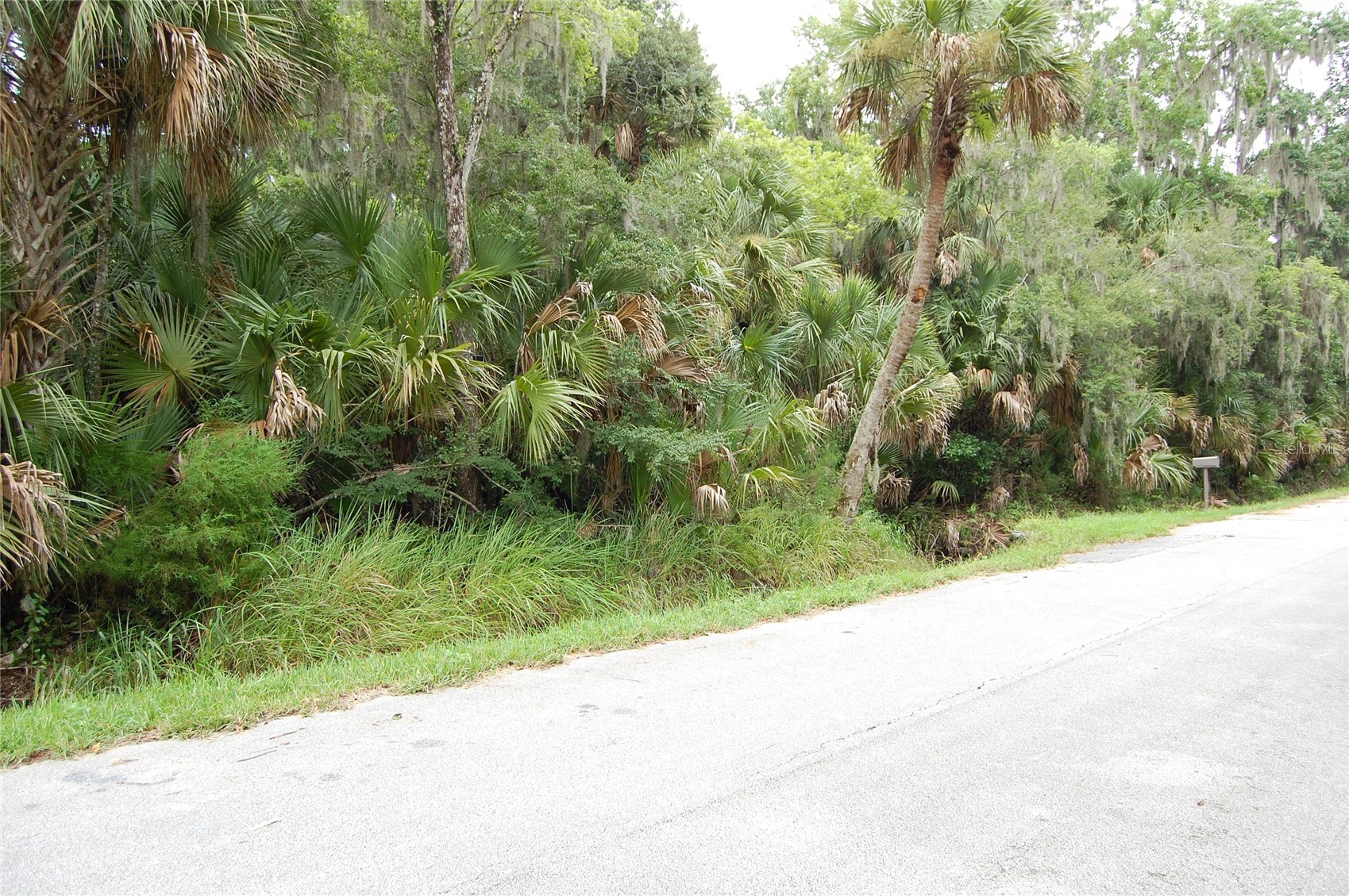 PALM DRIVE