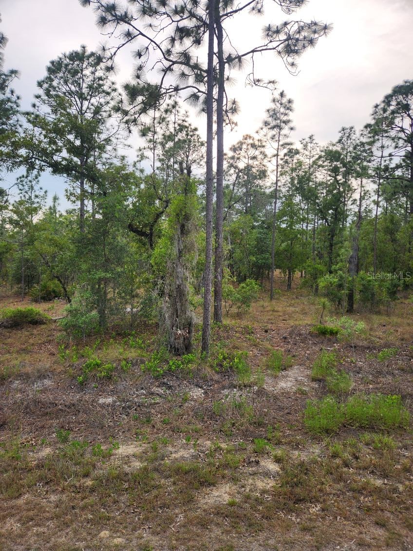 00 SE 130TH CT