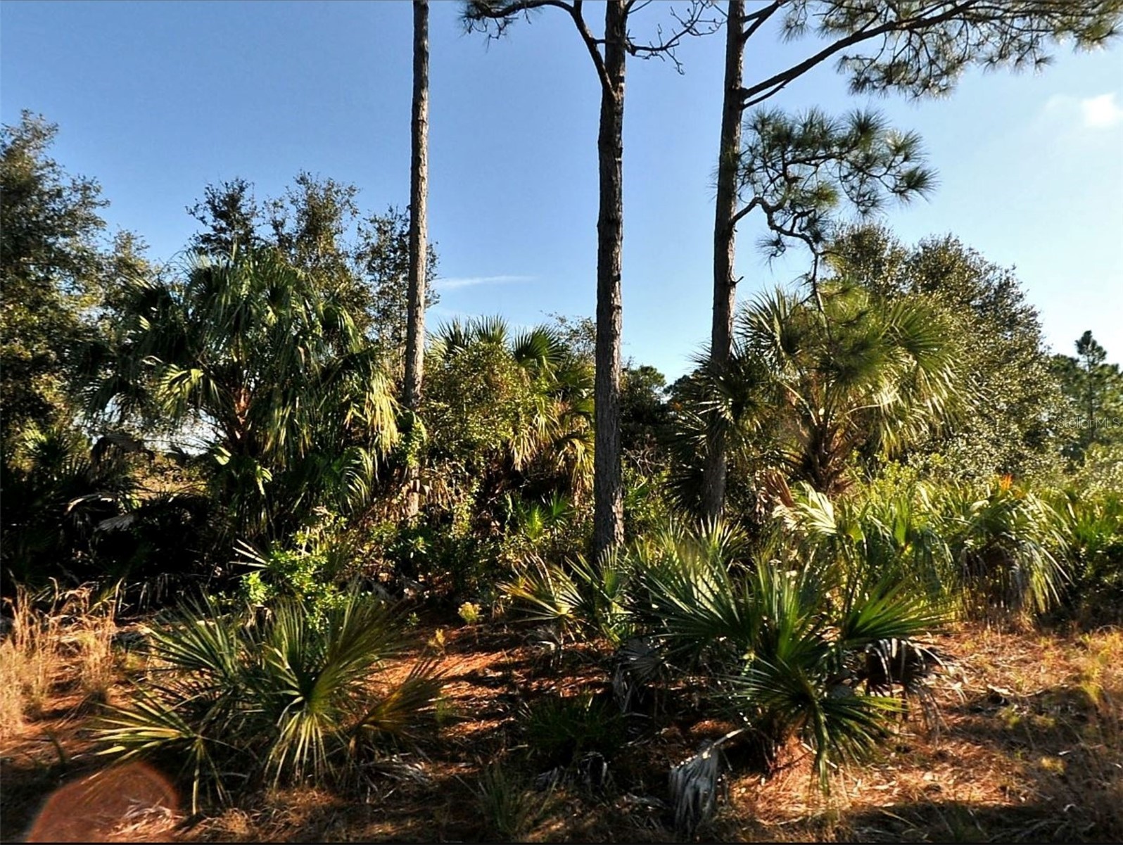 Lot 3 HAMBURG DRIVE