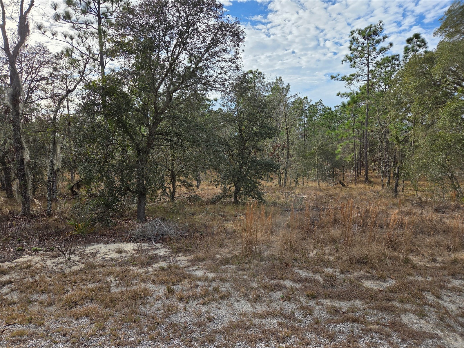 0000 SE 128TH AVENUE
