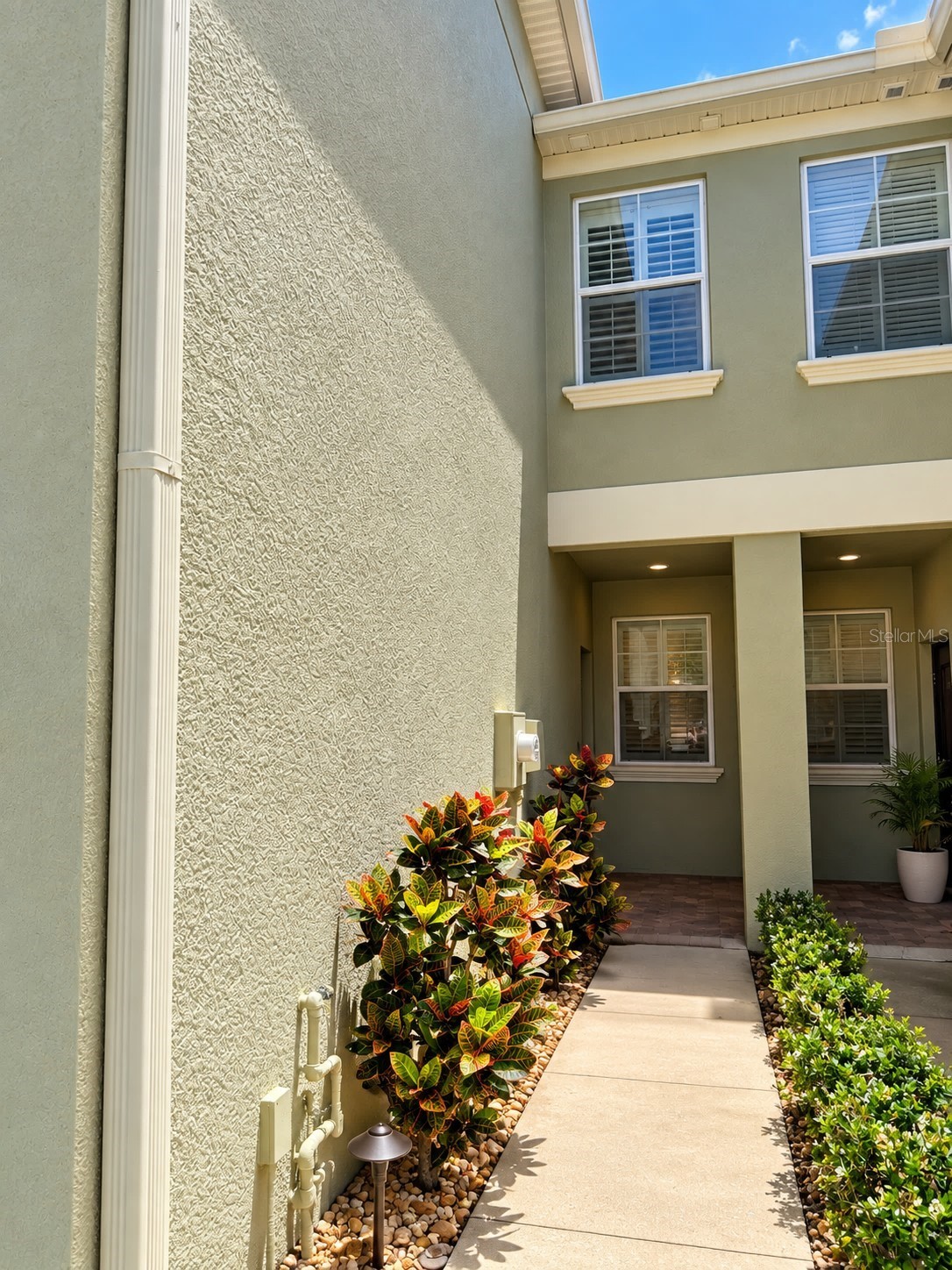 9568 TRUMPET VINE LOOP