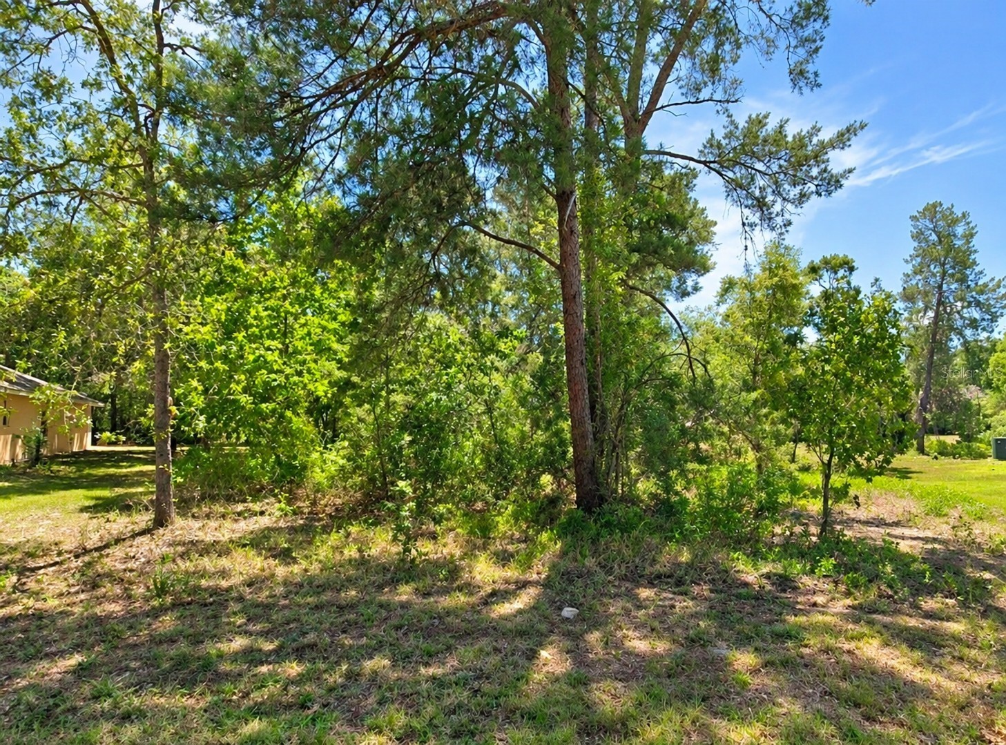 10 DRACAENA COURT