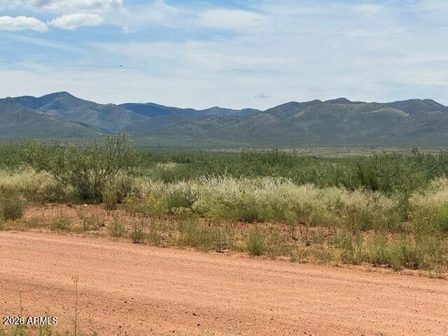 TBD 11145118 44, Elfrida, AZ 85610