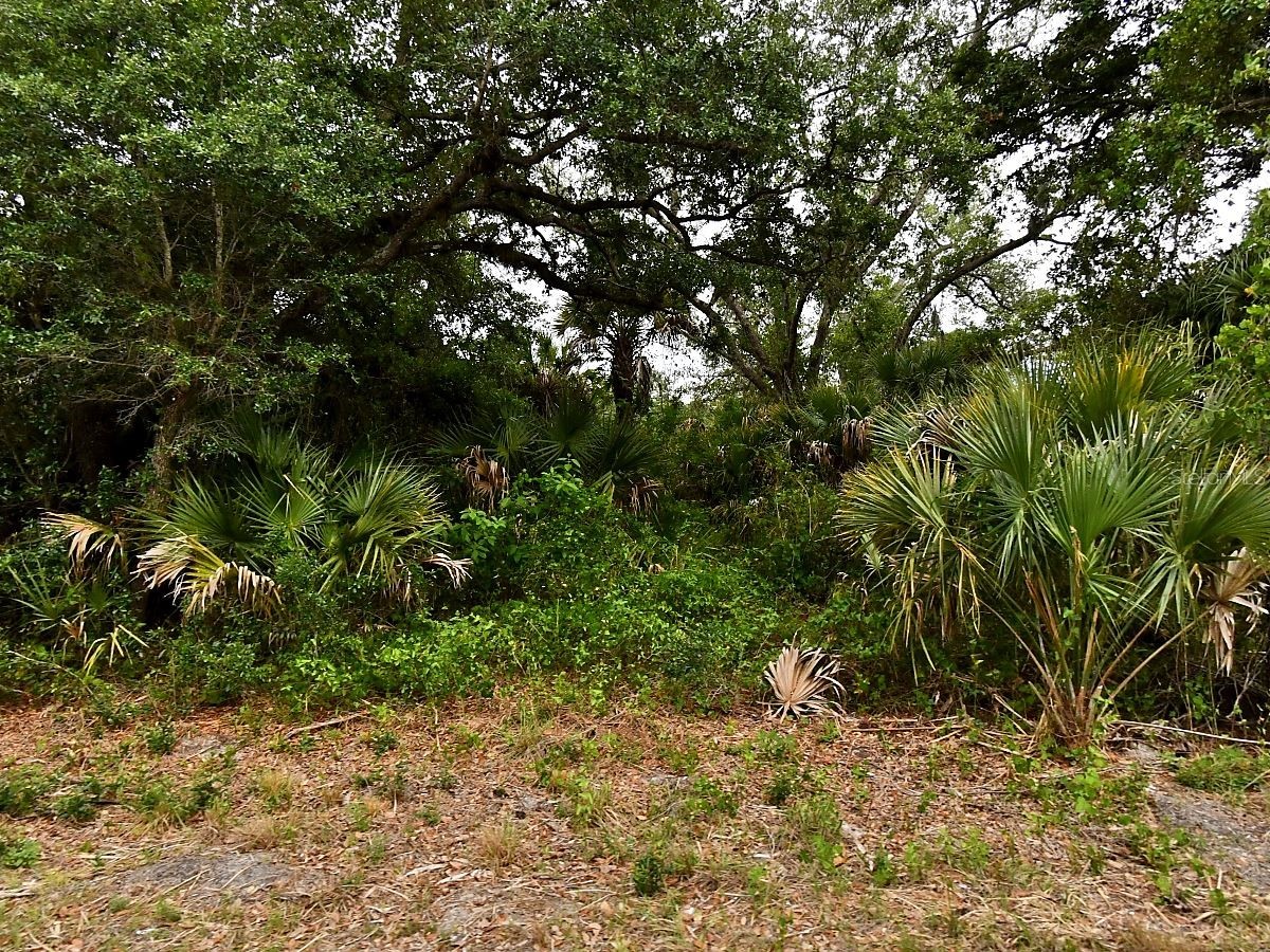 Lot 18 DUNSMUIR ROAD