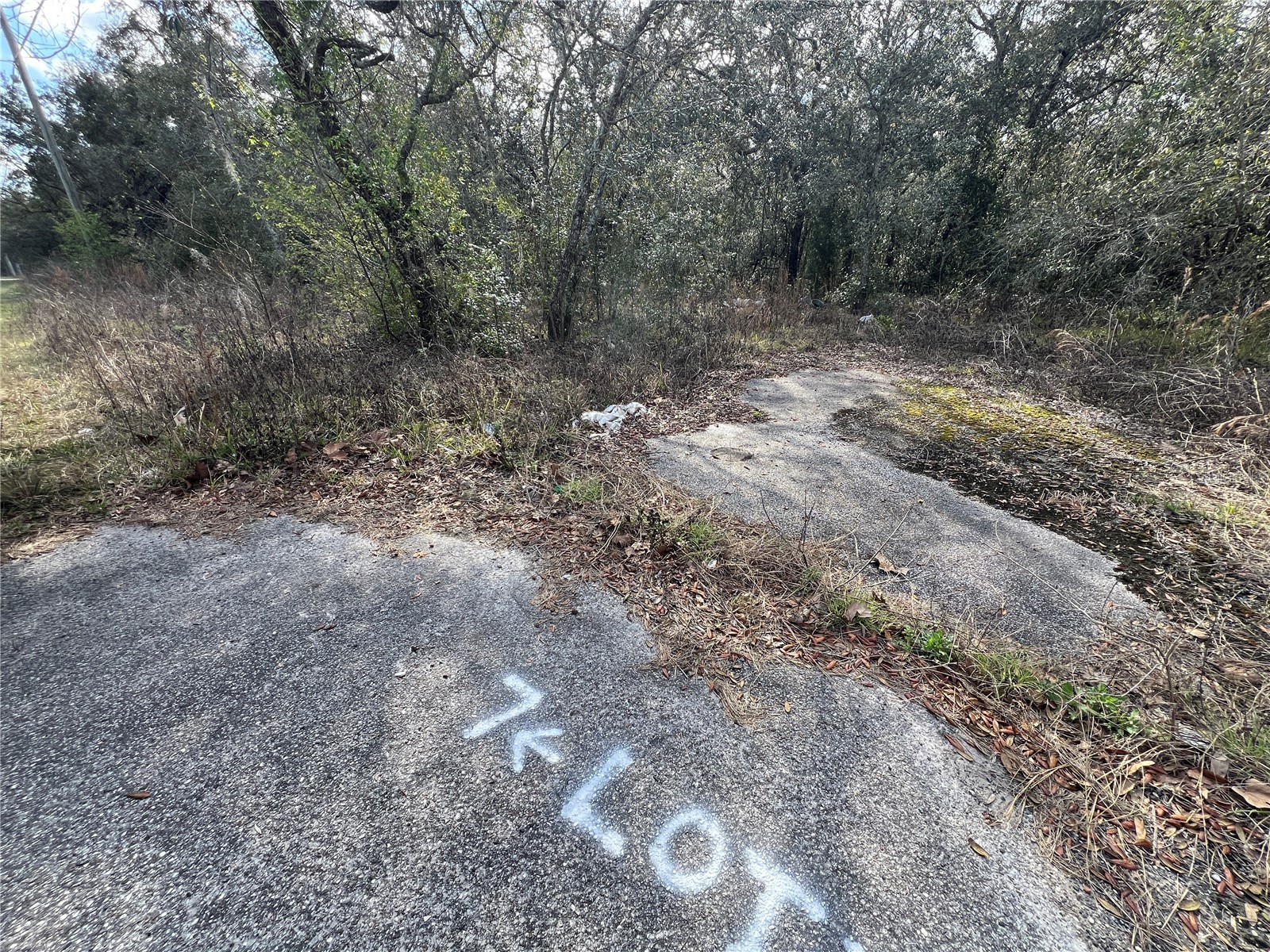 LOT 7 HAYS RD