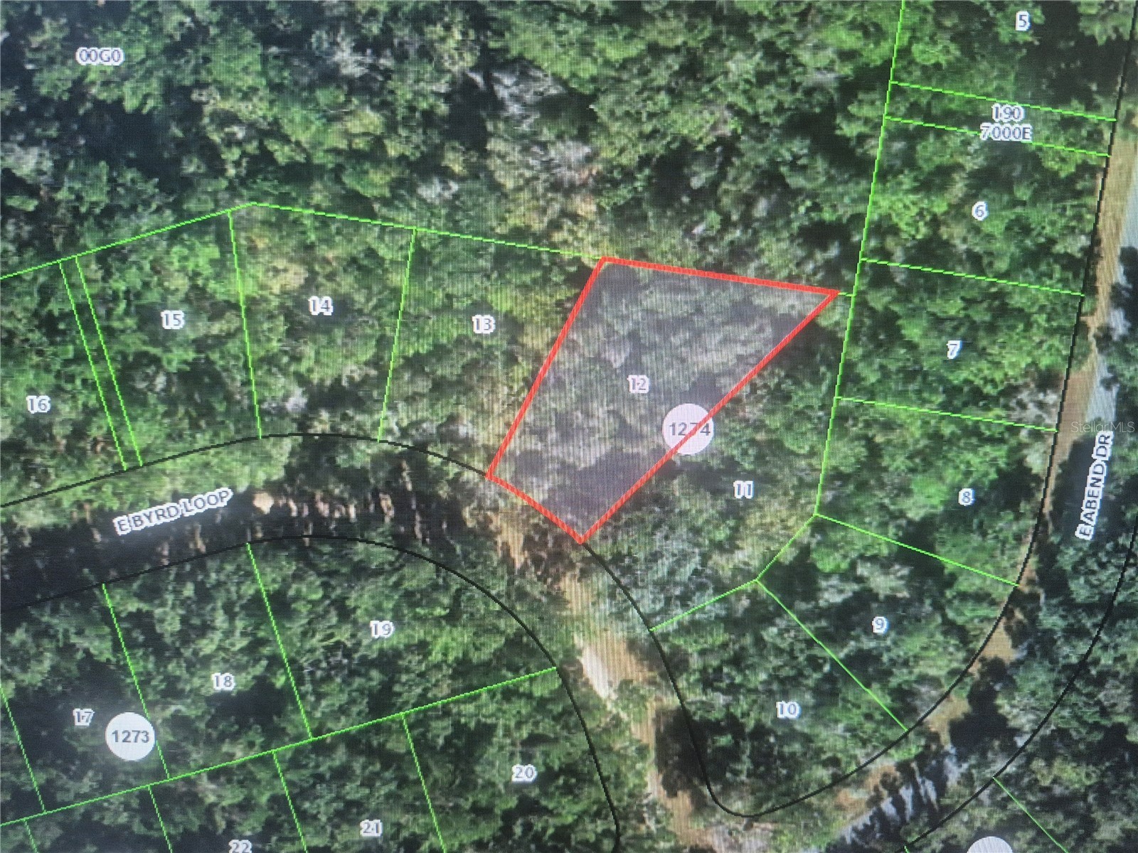 893 E BYRD LOOP