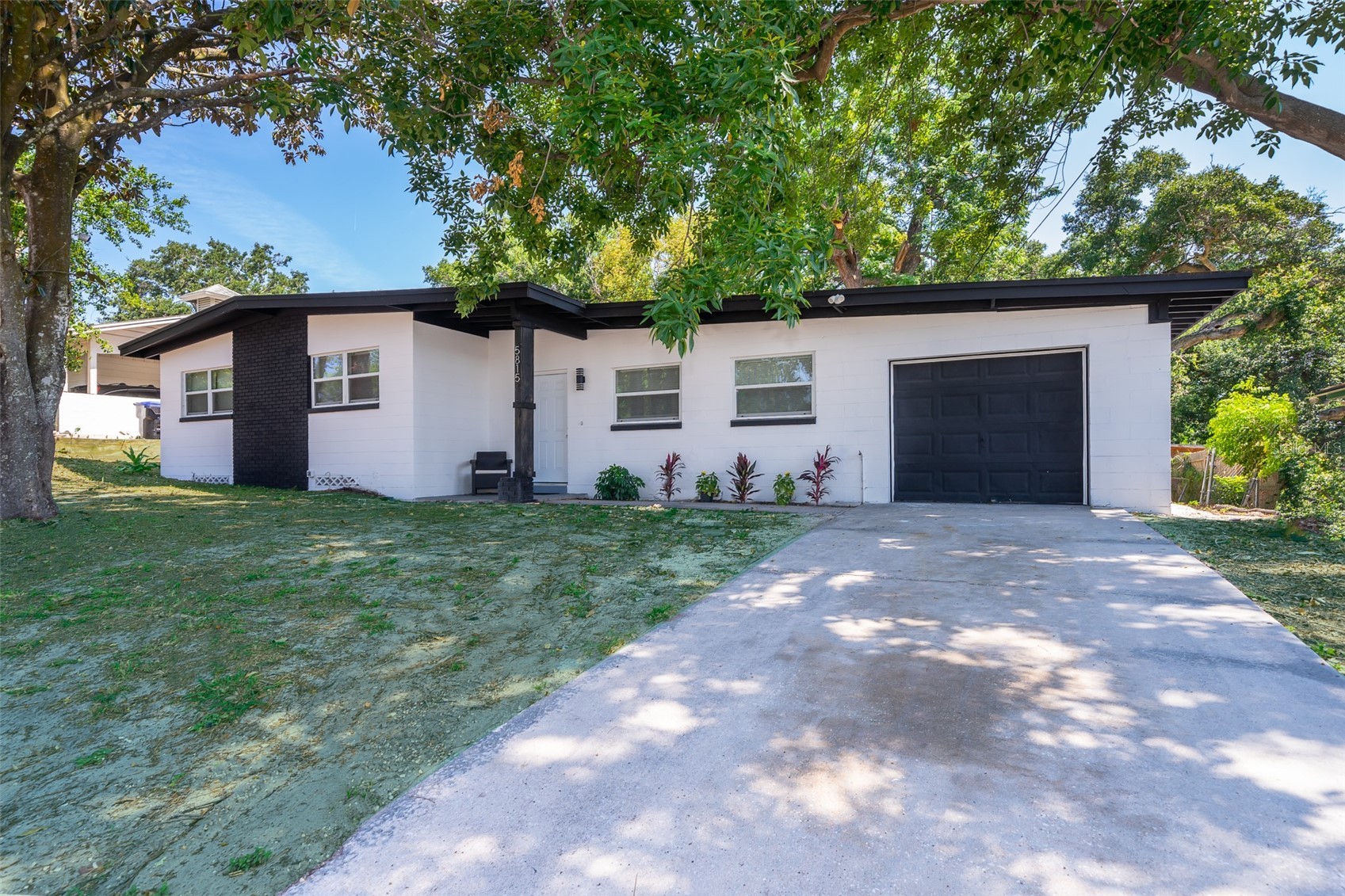 5815 WOLF ROAD
