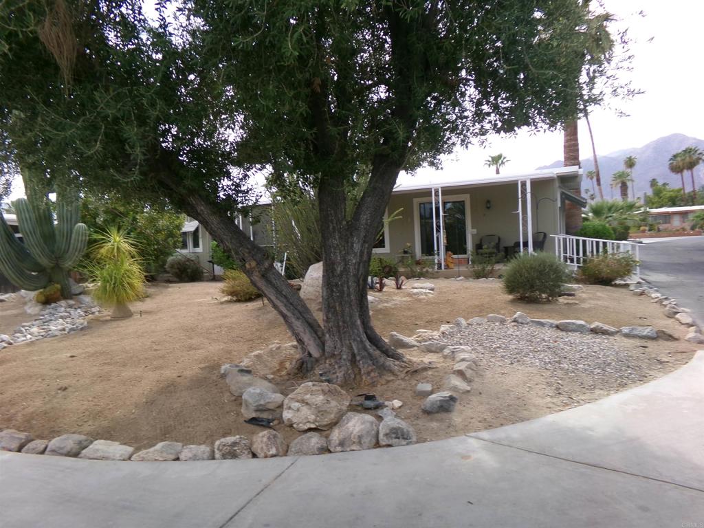 1010 Palm Canyon Drive 55