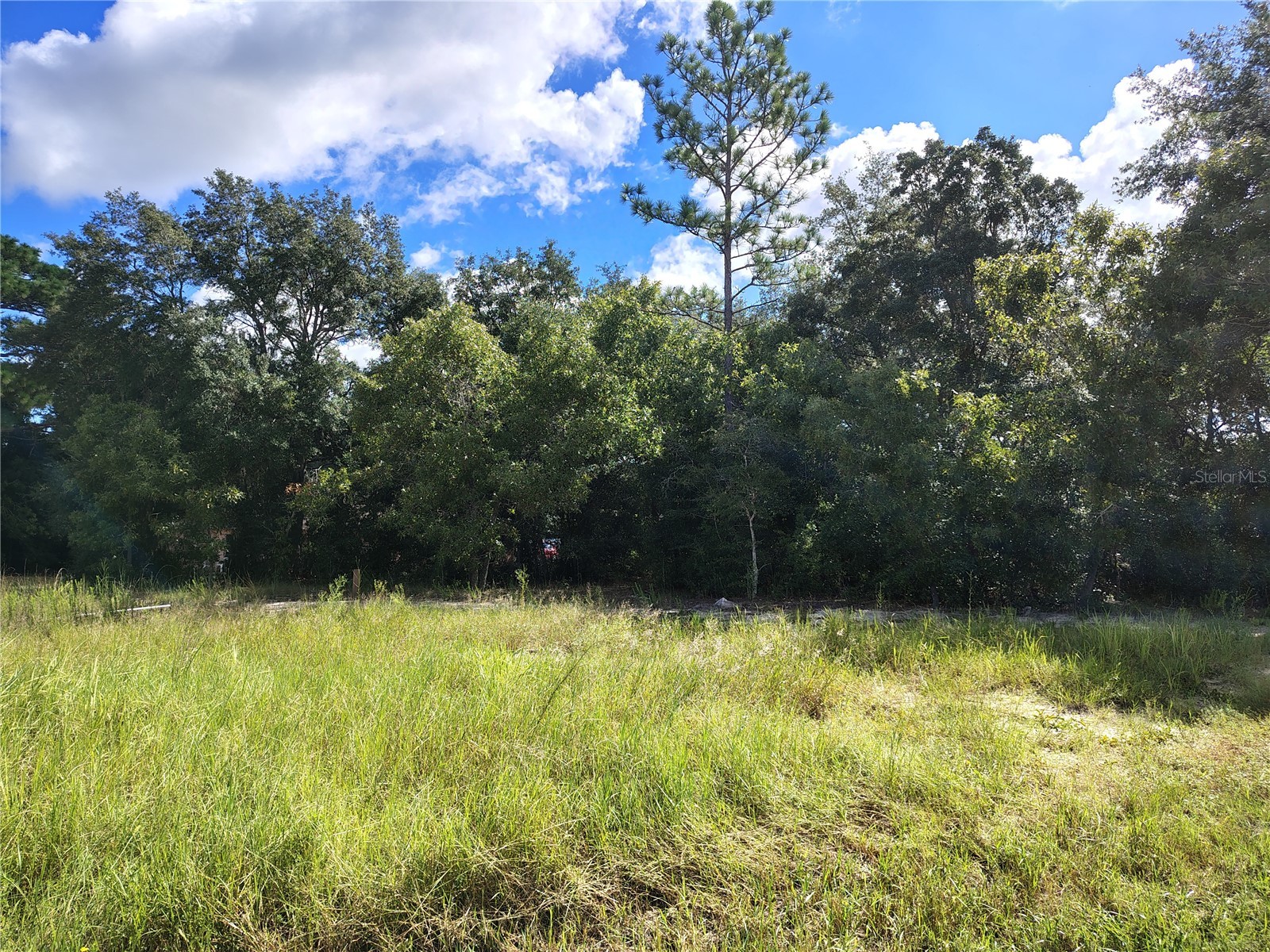 SILVER SPRINGS SHORES UNIT16