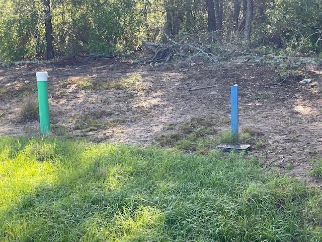1318 HOMOSASSA DRIVE