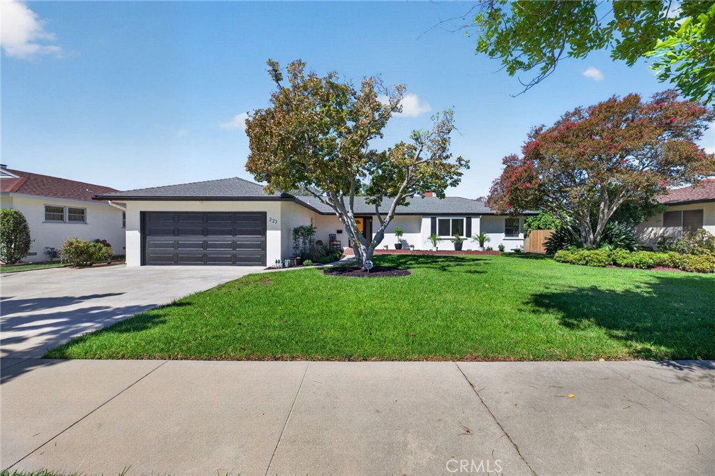 227 N Larkin