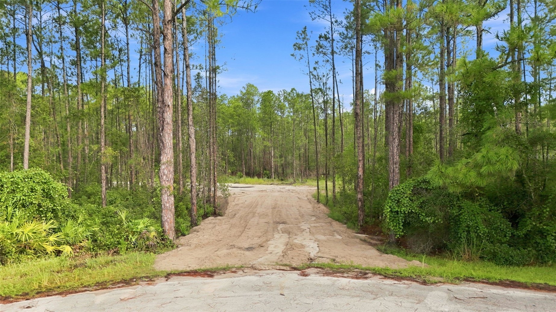 ALDER WAY