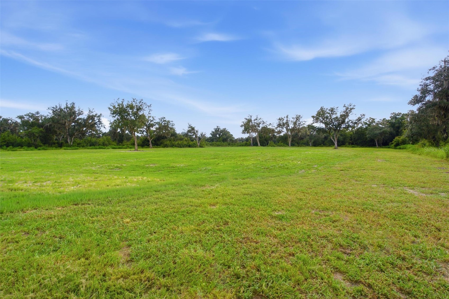 1428 OXFORD PRESERVE TRAIL