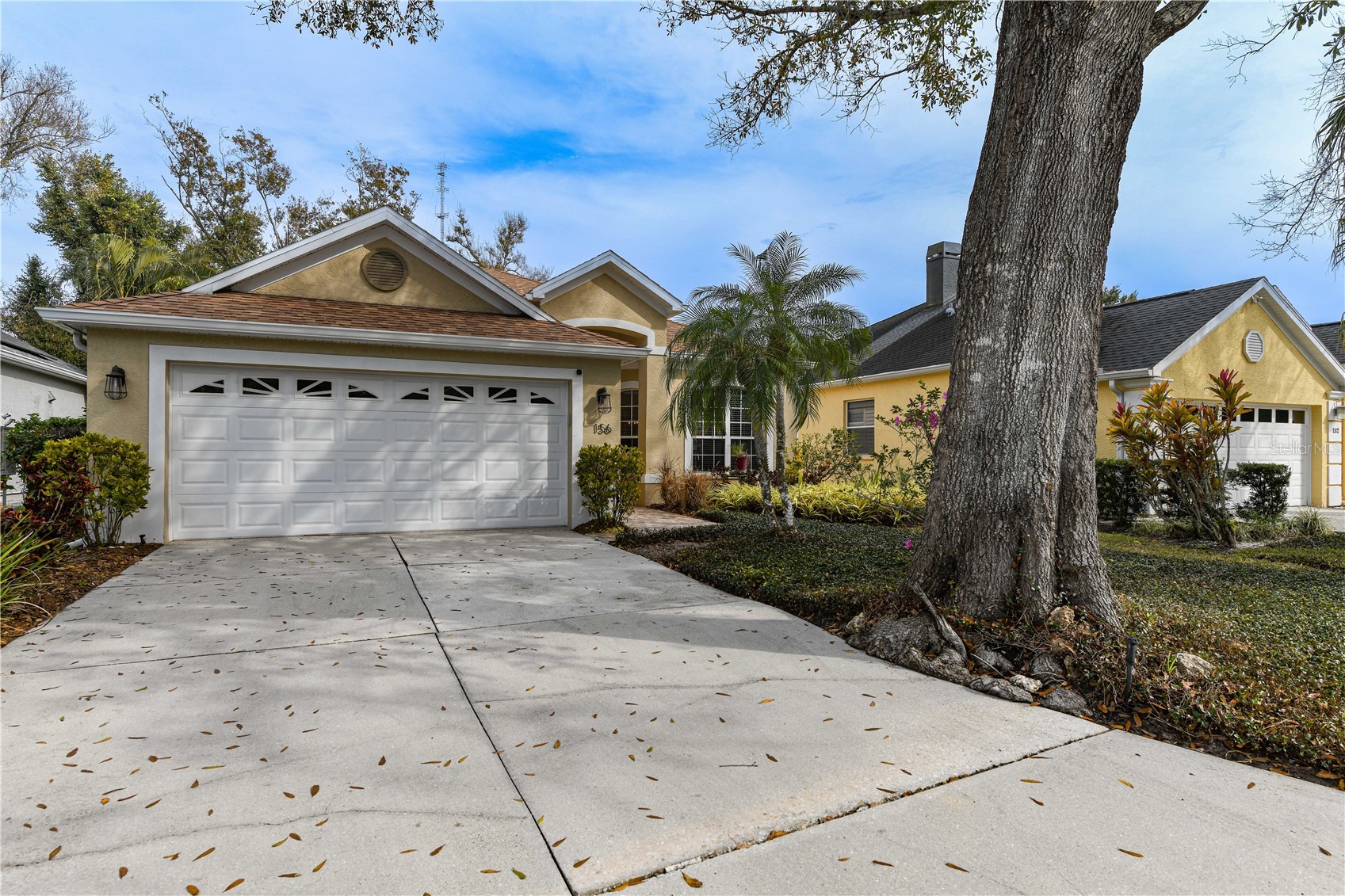 156 TALL TREES COURT
