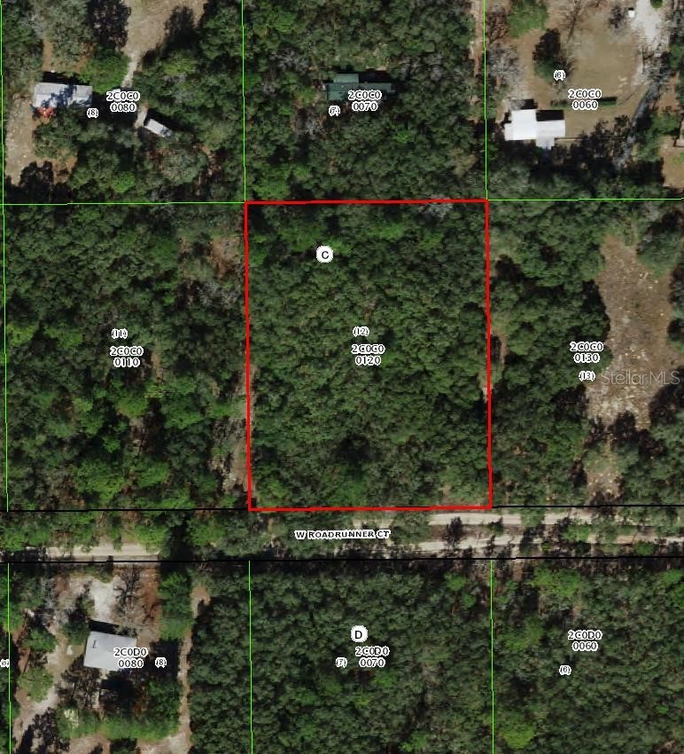 4385 W ROADRUNNER COURT