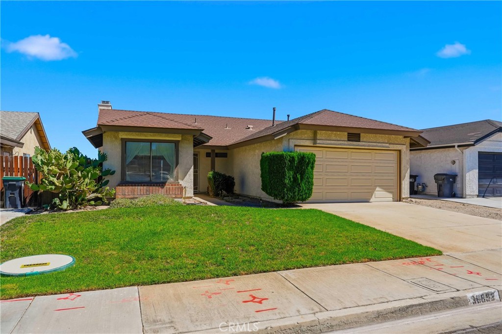 36892 Spanish Broom