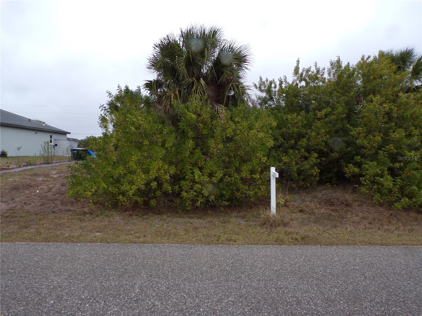 HOLSTER AVENUE