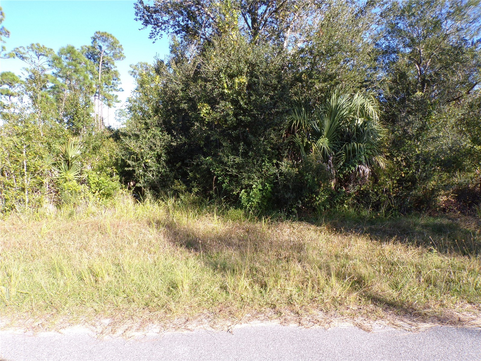 442 LACKLAND STREET