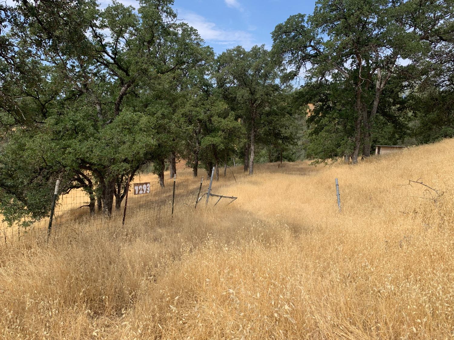 7293 Hawk Ct, Corning, CA 96021