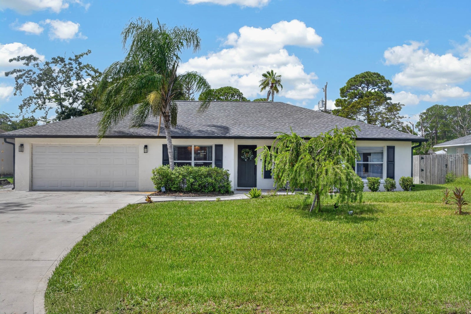 3216 UMBRELLA TREE