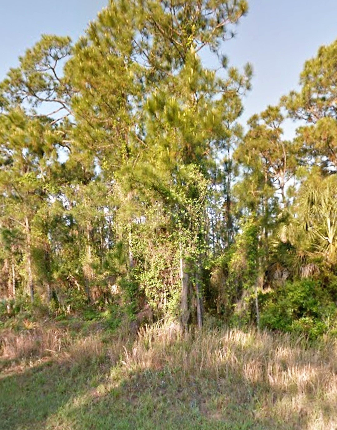 OLD WINE ROAD