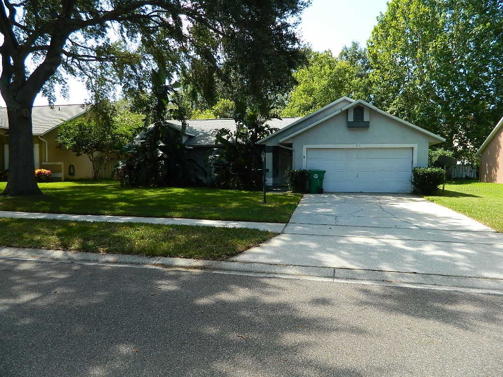 317 SILVER PINE DRIVE