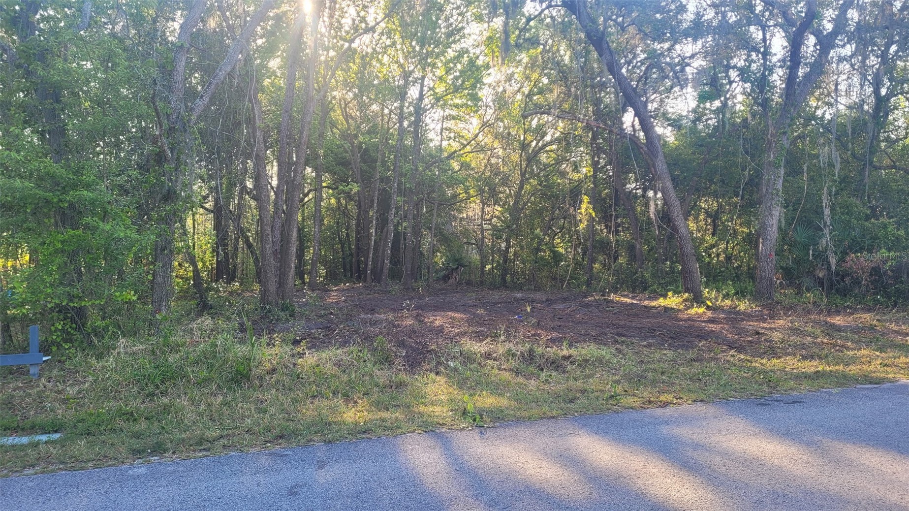 MARLEY AVENUE